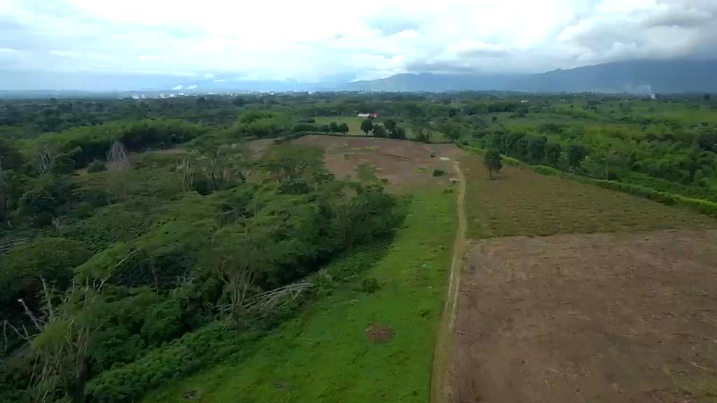 Bosque y cafetal en el borde del predio