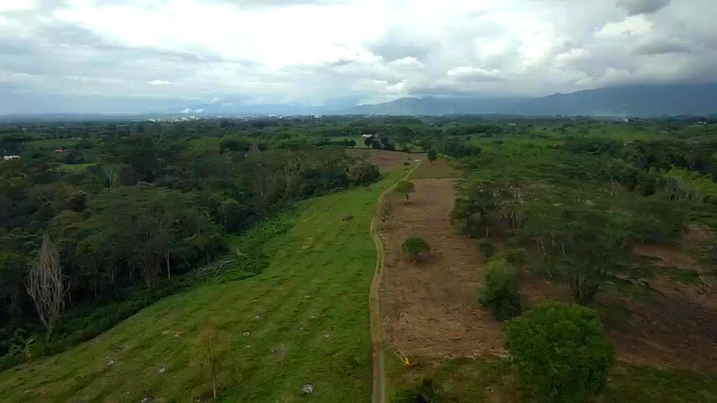 La cordillera desde el remate alto